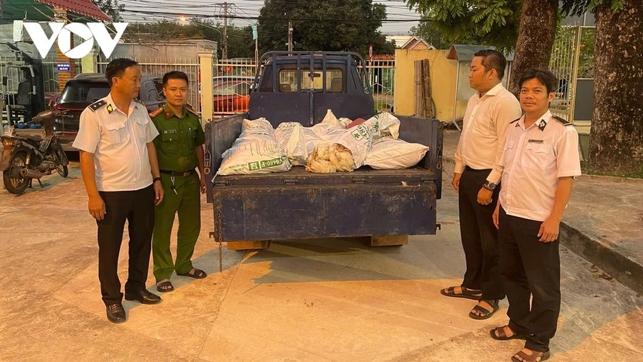 Bất chấp xử phạt, tài xế ở TP.HCM tiếp tục chở 450kg gà "bẩn" đi tiêu thụ Bất chấp xử phạt, tài xế ở TP.HCM tiếp tục chở 450kg gà "bẩn" đi tiêu thụ