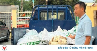 Bất chấp xử phạt, tài xế ở TP.HCM tiếp tục chở 450kg gà "bẩn" đi tiêu thụ