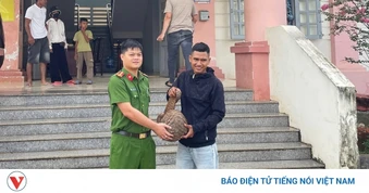 Bắt được tê tê quý hiếm nặng 9kg, một thanh niên ở Đắk Lắk giao nộp cho xã