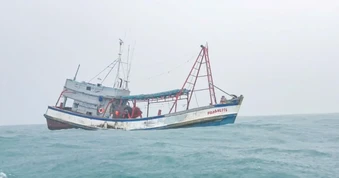 Bắt tàu cá dùng số hiệu giả