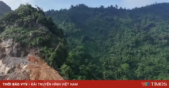 Bất thường tình trạng hàng trăm cây rừng tự nhiên bị đầu độc bằng lỗ khoan tại núi Hang Bò