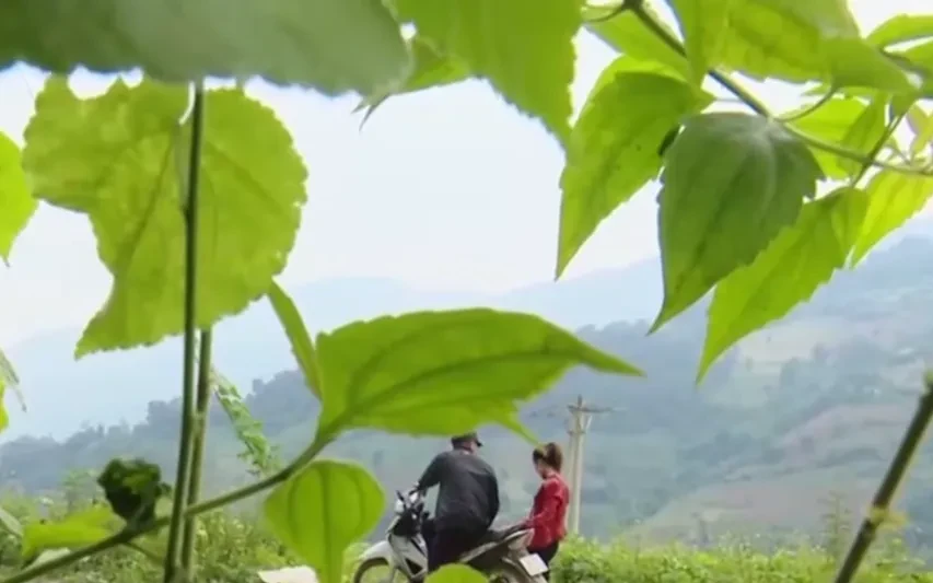 Bẫy “hôn nhân đổi đời” trên mạng: Nhiều nạn nhân bị bán ra nước ngoài Bẫy “hôn nhân đổi đời” trên mạng: Nhiều nạn nhân bị bán ra nước ngoài