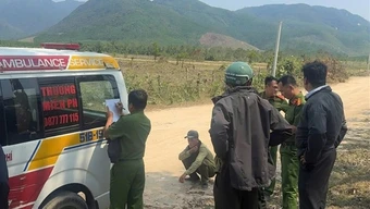 Bị ong đốt khi tuần tra rừng, 5 nhân viên công ty lâm nghiệp thương vong