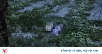Bị sét đánh, 2 người đi xe máy tử vong trên đê biển ở Ninh Bình