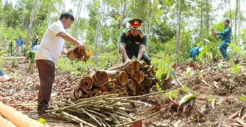 Bí thư chi bộ Thào Seo Sình giúp người dân Huổi Pinh thoát nghèo Bí thư chi bộ Thào Seo Sình giúp người dân Huổi Pinh thoát nghèo