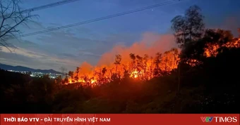 Bí thư Tỉnh ủy Nghệ An yêu cầu tập trung tối đa lực lượng dập tắt cháy rừng, không để cháy lan rộng