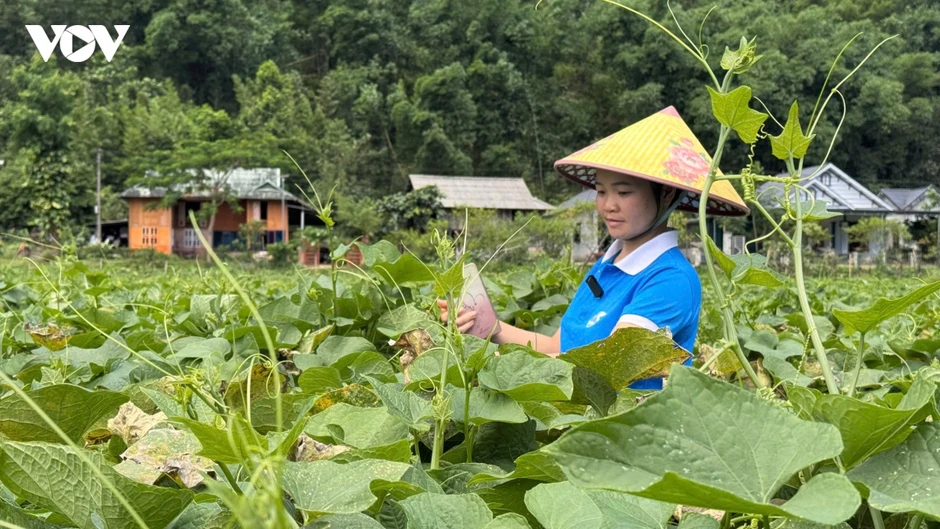Bí thư xã ở Phú Thọ “đánh thức” tiềm năng địa phương trên không gian số Bí thư xã ở Phú Thọ “đánh thức” tiềm năng địa phương trên không gian số