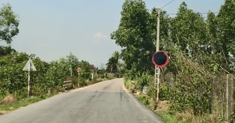 Biển báo tải trọng liên tục bị bôi đen trên tuyến đường phục vụ sân bay Phù Cát