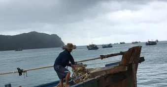 Biển Đông xuất hiện vùng áp thấp