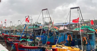 Biên phòng Hải Phòng nỗ lực chủ động phòng, chống bão số 4
