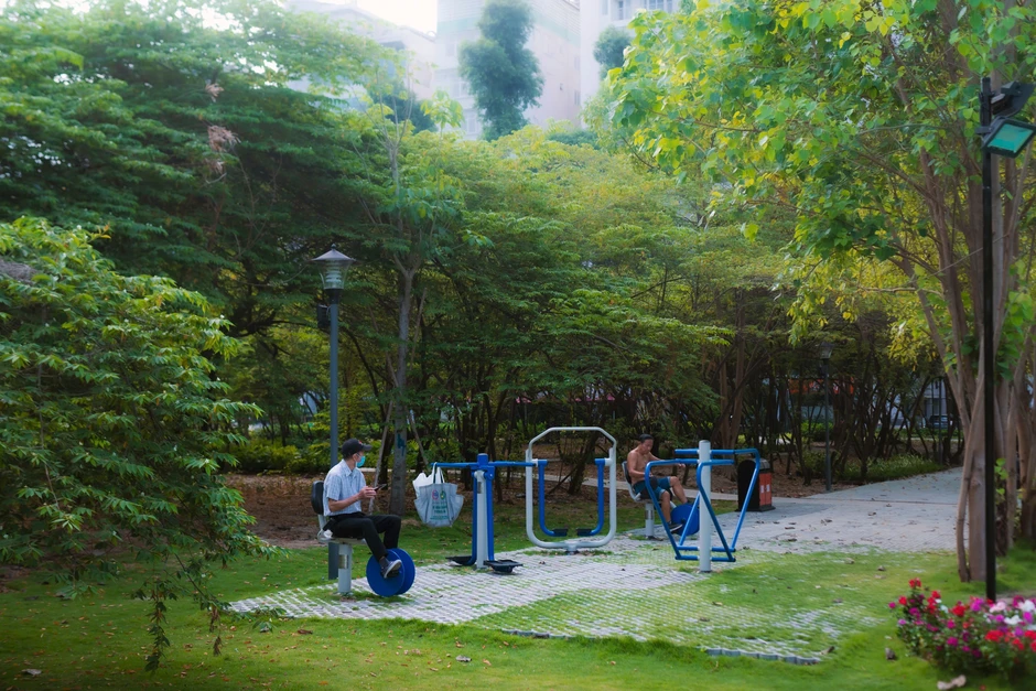 Biến "đất vàng" thành không gian xanh Biến "đất vàng" thành không gian xanh