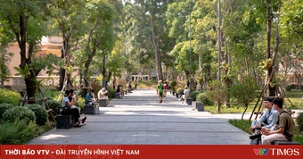 Biến "đất vàng" thành không gian xanh