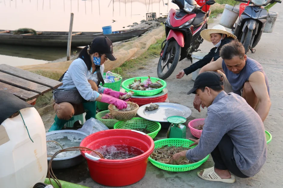 Bình minh trên phá Tam Giang: Nhịp sống thức dậy từ làn sương sớm Bình minh trên phá Tam Giang: Nhịp sống thức dậy từ làn sương sớm