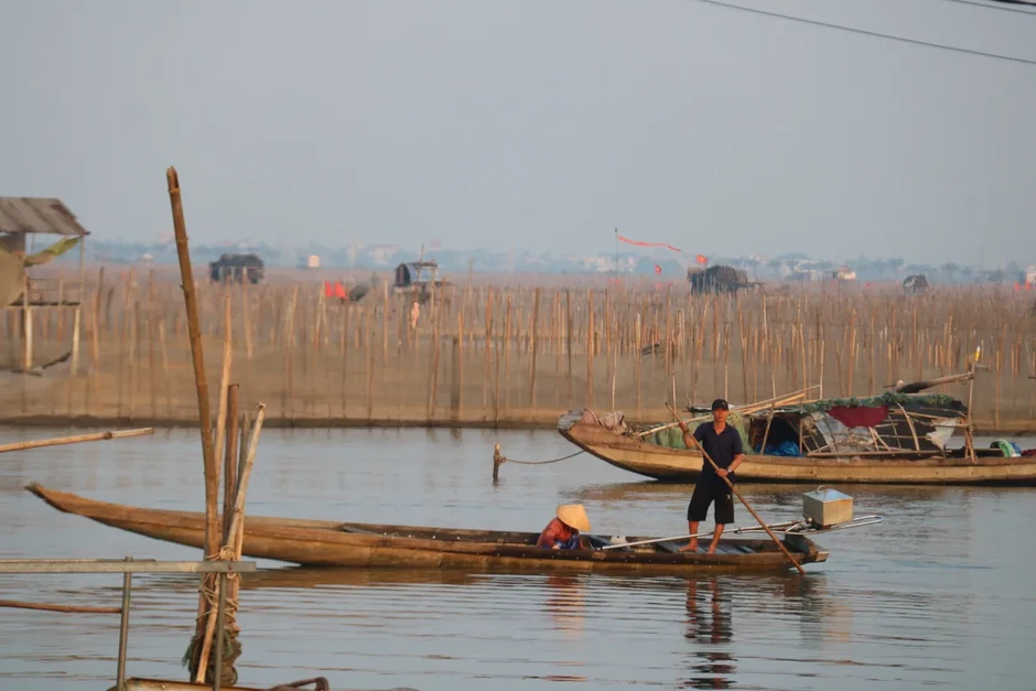 Bình minh trên phá Tam Giang: Nhịp sống thức dậy từ làn sương sớm Bình minh trên phá Tam Giang: Nhịp sống thức dậy từ làn sương sớm