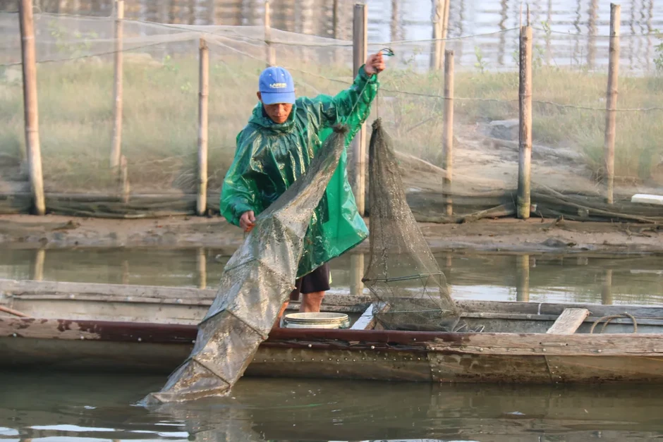 Bình minh trên phá Tam Giang: Nhịp sống thức dậy từ làn sương sớm Bình minh trên phá Tam Giang: Nhịp sống thức dậy từ làn sương sớm