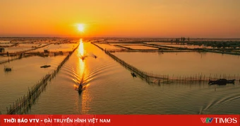 Bình minh trên phá Tam Giang: Nhịp sống thức dậy từ làn sương sớm