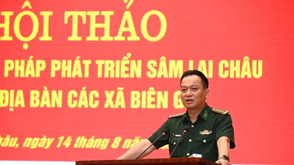 Bộ đội biên phòng Lai Châu giúp dân trồng sâm Bộ đội biên phòng Lai Châu giúp dân trồng sâm