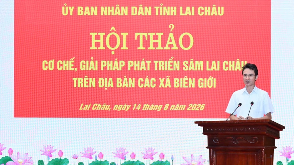 Bộ đội biên phòng Lai Châu giúp dân trồng sâm Bộ đội biên phòng Lai Châu giúp dân trồng sâm