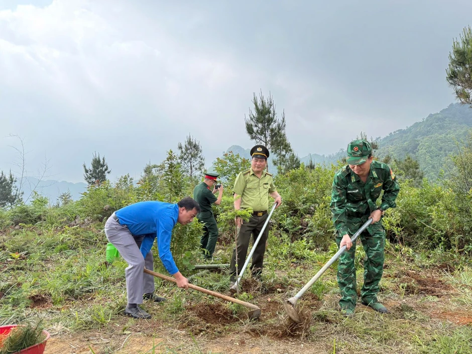 Bộ đội Biên phòng phát động chương trình trồng cây ‘Vành đai biên giới xanh’