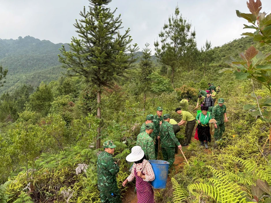 Bộ đội Biên phòng phát động chương trình trồng cây ‘Vành đai biên giới xanh’
