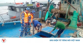 Bộ đội Biên phòng tỉnh Vĩnh Long xử lý 2 tàu cá khai thác hải sản gần bờ