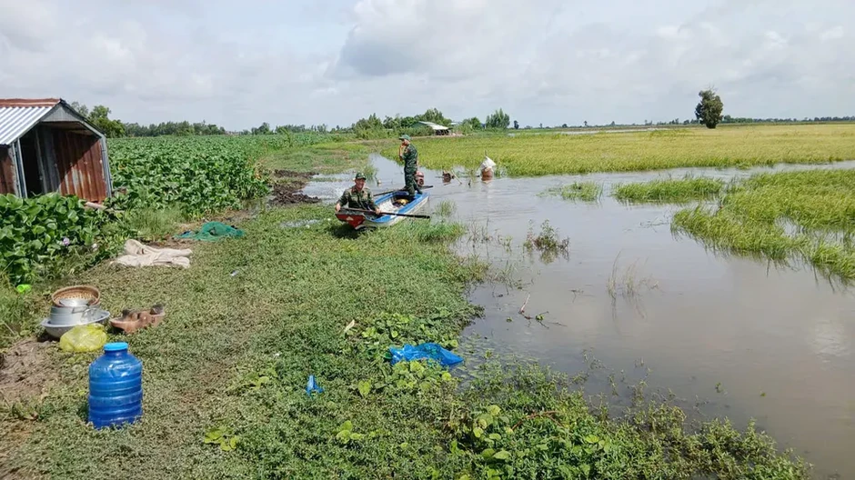 Bộ đội chèo xuồng, giúp nông dân gặt lúa chạy lũ Bộ đội chèo xuồng, giúp nông dân gặt lúa chạy lũ