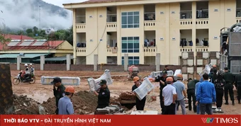 Bộ Giáo dục và Đào tạo làm cơ quan thường trực Ban Chỉ đạo xây dựng trường học vùng biên