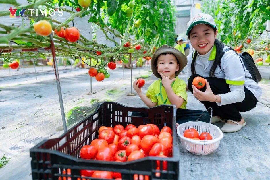 Bỏ lương cao, kỹ sư trẻ về quê làm trang trại nông nghiệp công nghệ cao Bỏ lương cao, kỹ sư trẻ về quê làm trang trại nông nghiệp công nghệ cao