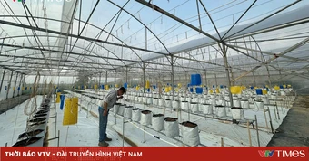 Bỏ lương cao, kỹ sư trẻ về quê làm trang trại nông nghiệp công nghệ cao
