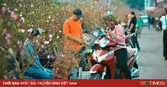Bộ Nội vụ đề xuất nghỉ 7 ngày liên tục dịp Tết Nguyên đán 2027