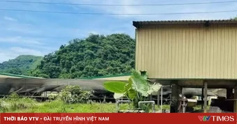 Bộ Nội vụ yêu cầu khẩn điều tra vụ tai nạn lao động làm 5 người tử vong ở Thanh Hóa