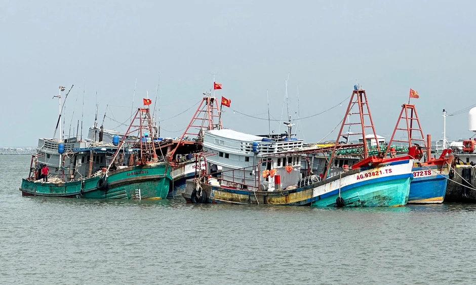 Bộ Tư lệnh Vùng Cảnh sát biển 3 hướng dẫn tàu cá đánh bắt hải sản đúng quy định Bộ Tư lệnh Vùng Cảnh sát biển 3 hướng dẫn tàu cá đánh bắt hải sản đúng quy định