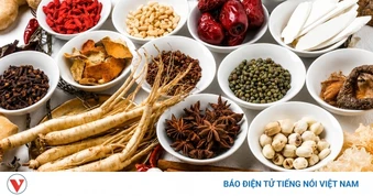 Bộ Y tế chấn chỉnh hoạt động kinh doanh dược liệu không rõ nguồn gốc