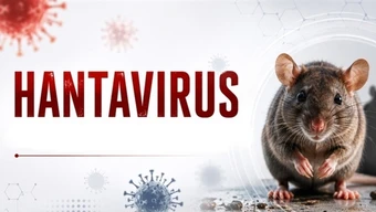 Bộ Y tế lên tiếng về nguồn lây virus Hanta trên tàu du lịch quốc tế