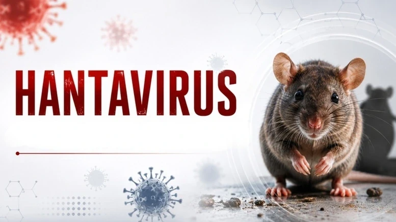 Bộ Y tế thông tin về chủng virus Hanta đang được WHO cảnh báo Bộ Y tế thông tin về chủng virus Hanta đang được WHO cảnh báo