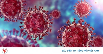 Bộ Y tế yêu cầu theo dõi chặt chẽ biến thể Covid 19 "ve sầu" lây nhanh tại Mỹ