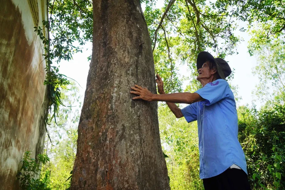 Bóng dáng đại ngàn Tây Nguyên giữa đồng bằng Bình Định