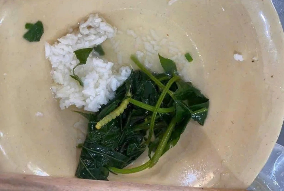 Bữa ăn sinh viên Đại học Huế canh rau có sâu, đơn vị nấu ăn xin lỗi Bữa ăn sinh viên Đại học Huế canh rau có sâu, đơn vị nấu ăn xin lỗi