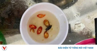 Bữa ăn sinh viên Đại học Huế canh rau có sâu, đơn vị nấu ăn xin lỗi