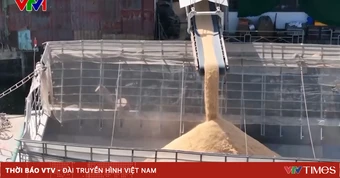 Bụi từ nhà máy xay xát lúa ám ảnh nhiều hộ dân ở xã Cờ Đỏ (Cần Thơ)