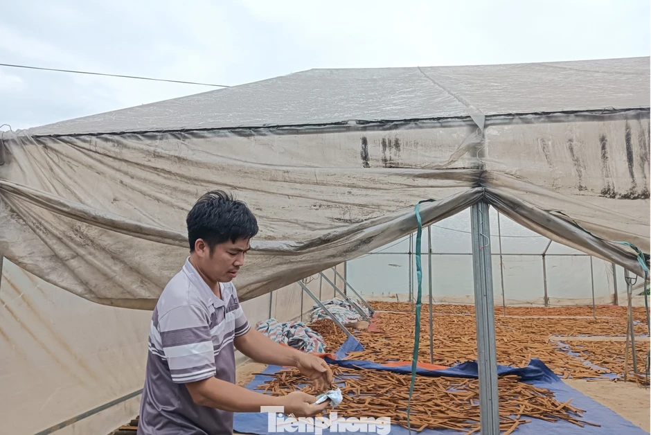 Buộc phá dỡ 2 cơ sở đốt than trái phép, gây ô nhiễm tại Lào Cai Buộc phá dỡ 2 cơ sở đốt than trái phép, gây ô nhiễm tại Lào Cai