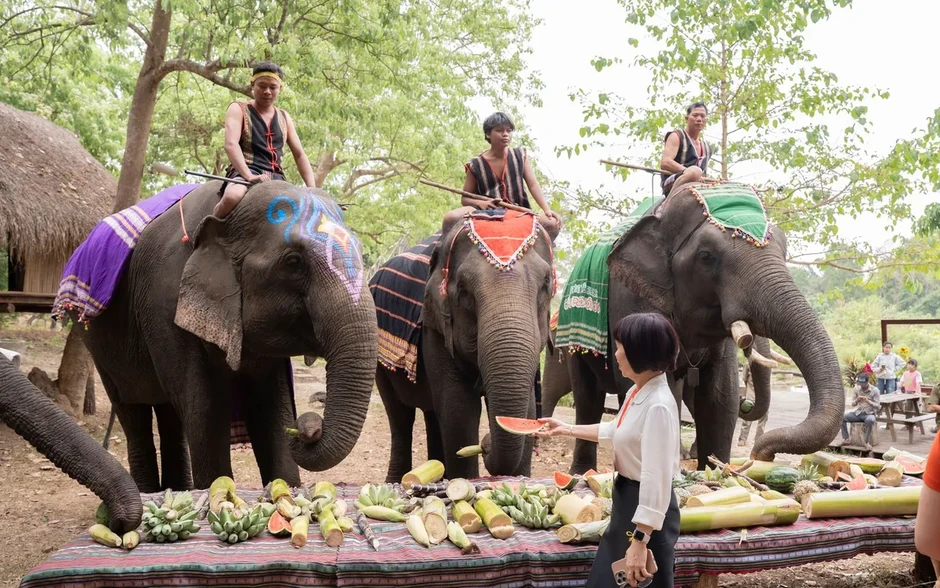 Buôn Đôn chuyển mình: Dừng cưỡi voi, mở lối du lịch bền vững Buôn Đôn chuyển mình: Dừng cưỡi voi, mở lối du lịch bền vững