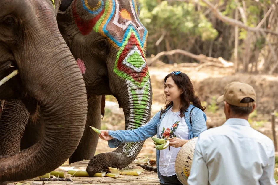 Buôn Đôn chuyển mình: Dừng cưỡi voi, mở lối du lịch bền vững Buôn Đôn chuyển mình: Dừng cưỡi voi, mở lối du lịch bền vững