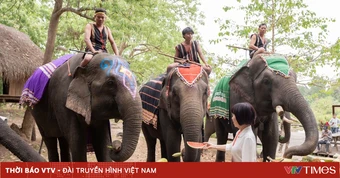 Buôn Đôn chuyển mình: Dừng cưỡi voi, mở lối du lịch bền vững