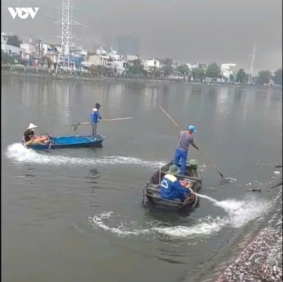 Cá chết hàng loạt, bốc mùi tại nhiều hồ điều hòa ở Hải Phòng Cá chết hàng loạt, bốc mùi tại nhiều hồ điều hòa ở Hải Phòng
