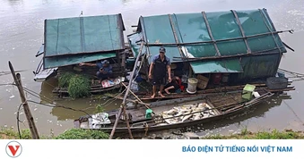 Cá chết hàng loạt ở Nghệ An, kết quả mẫu nước đều nằm trong giới hạn cho phép