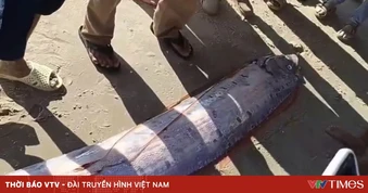 Cá mái chèo dài gần 4m trôi dạt vào vùng ven biển Lâm Đồng