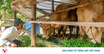 Cà Mau chú trọng chăm lo giáo dục và y tế cho đồng bào dân tộc thiểu số