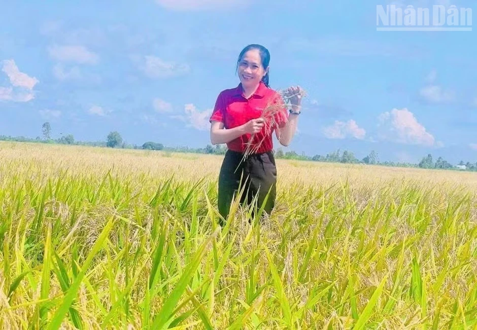 Cà Mau: Chuyển biến bước đầu ở một cơ sở Cà Mau: Chuyển biến bước đầu ở một cơ sở