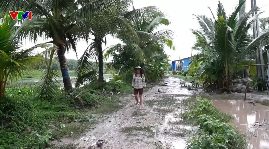Cà Mau: Hơn 40 năm chờ một con đường Cà Mau: Hơn 40 năm chờ một con đường